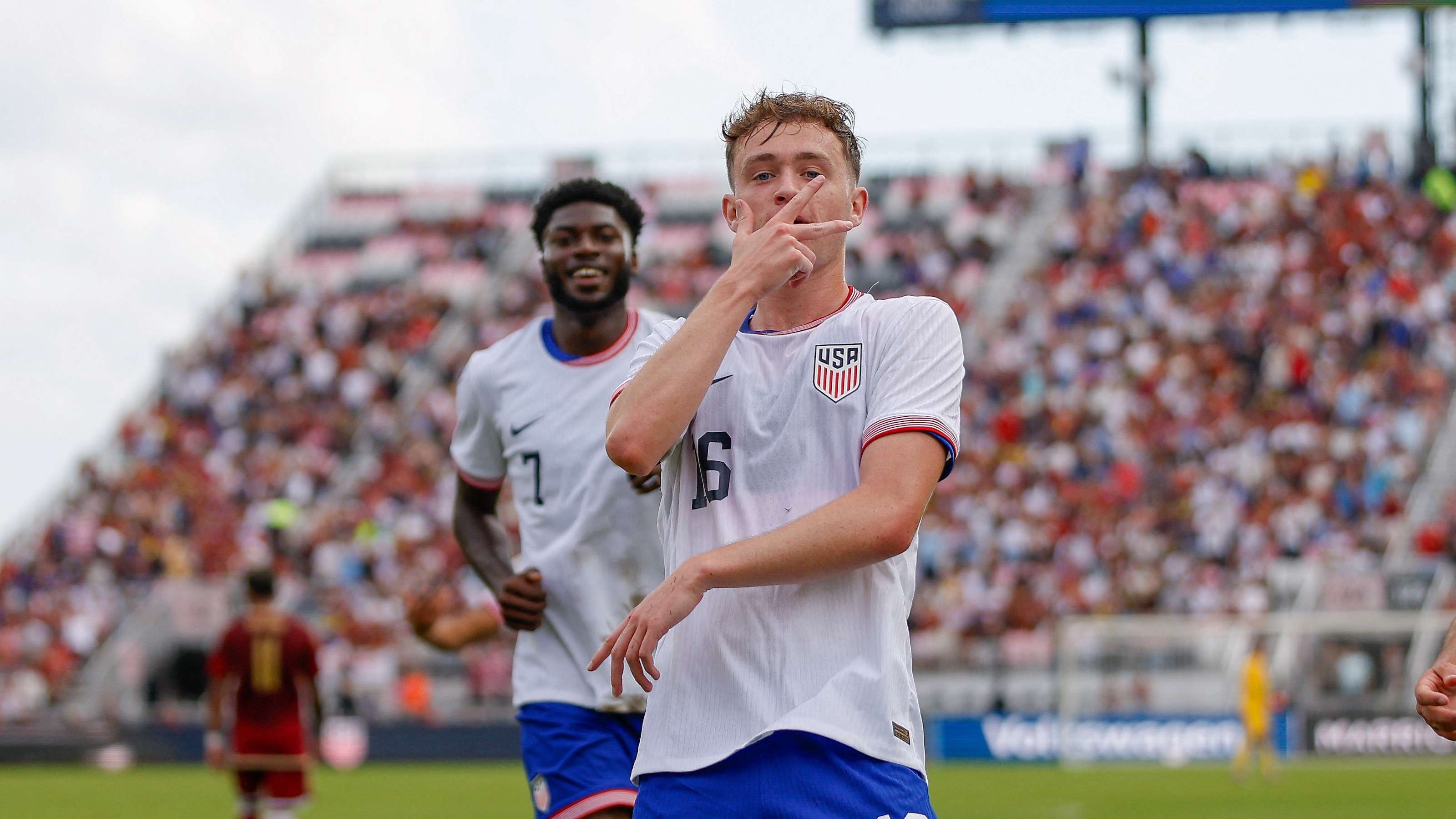 幾乎主導了 幾乎主導了